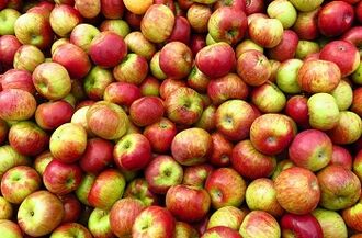 dieta de maçã para perda de peso